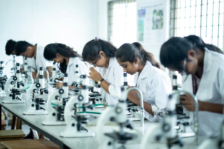 School of Pharmacy