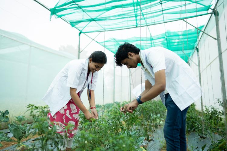 School-of-Agriculture