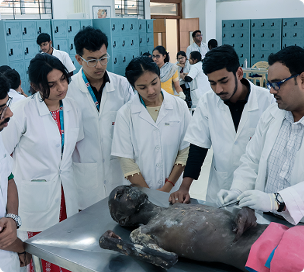 School of Medical Sciences